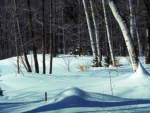 Schneelandschaft